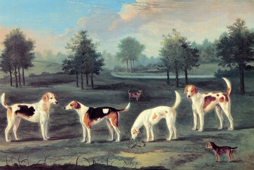 Two couple hounds - hounds, park