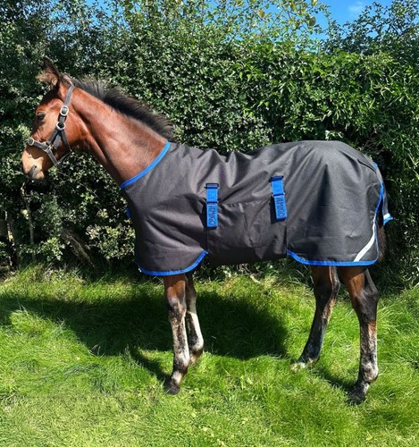 Horseware amigo ripstop 900d - amigo,
