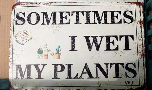 Sometimes wet plants - wet, plants'