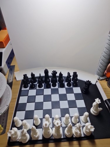Pokemon travel chess - travel, set
