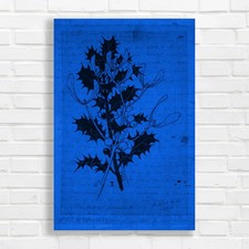 Vintage Botanical Illustration