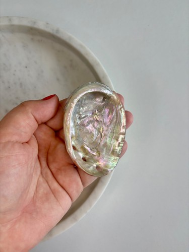 70mm 100mm abalone - 100mm,