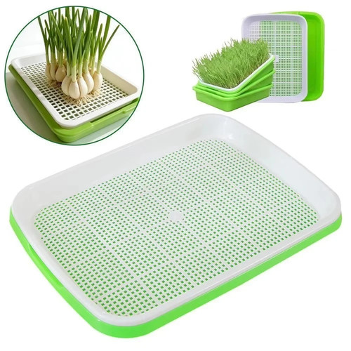Hydroponic microgreens - hydroponic,