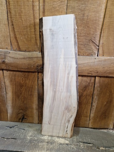 Live edge sycamore - edge,