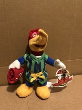 Port Adventura woody