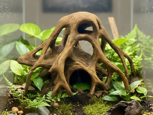 Reptile aquarium mangrove - reptile/aquarium,