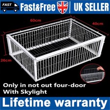 New Pigeon Cage Feral Pigeon