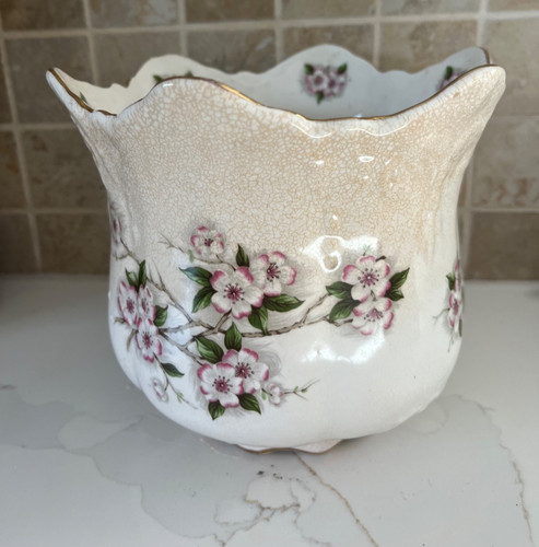 Brosnic bone china victoriana - brosnic,