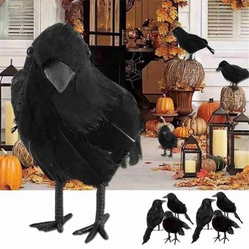 Realistic black crow halloween - realistic,