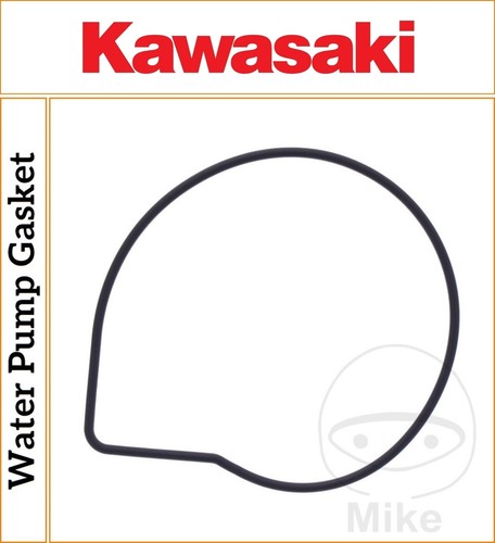 Kawasaki 10r 1000 ninja - kawasaki,