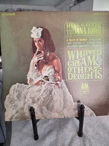 Vinyl record case vtg - record,