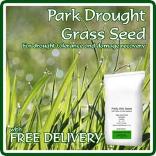 2Kg Park Drought Resistant