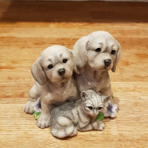 Leonardo collection puppies - collection, &