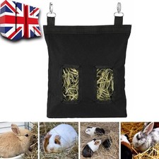 Guinea pig rabbit - guinea, hay