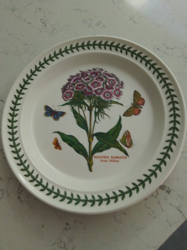 New portmeirion botanic - portmeirion,
