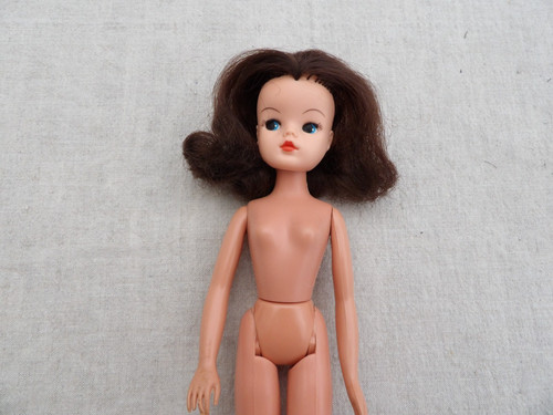 1980 pedigree sindy - pedigree, 2
