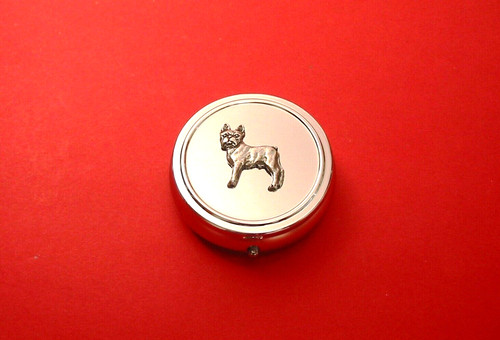 Boston terrier round - boston, on