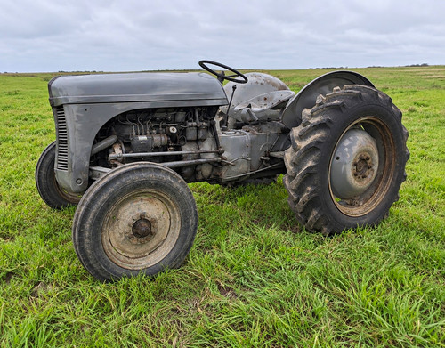 Ferguson vintage grey farm - vintage,
