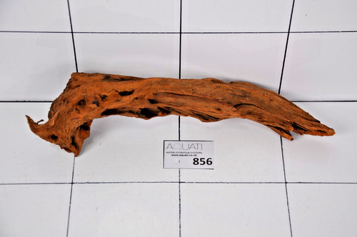 Aquarium natural driftwood - aquarium,