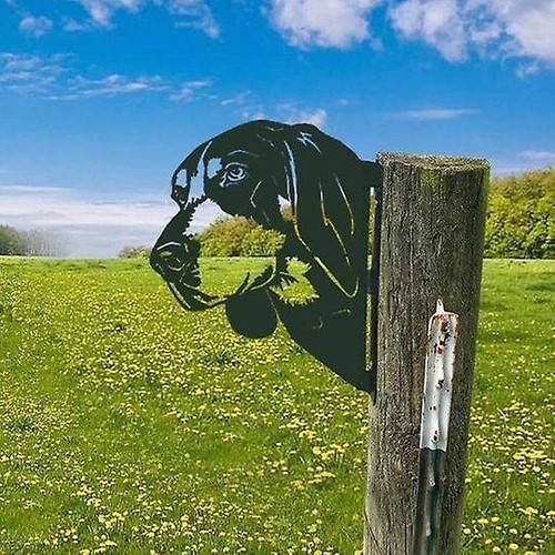 Funny metal farm animal - funny,
