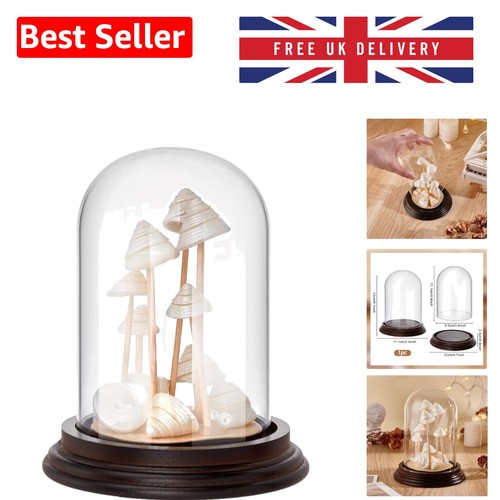 Clear decorative bell jar - clear,