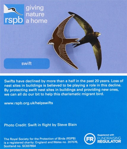 Rspb pin badge special gnah - badge,