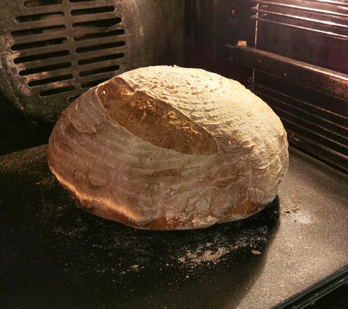Sourdough cast iron - cast, bread