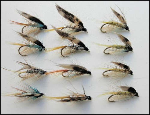 Invicta wet trout flies - invicta, flies,