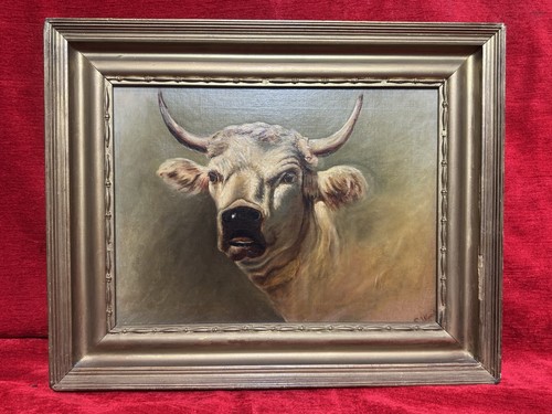 19th century prize white - century,