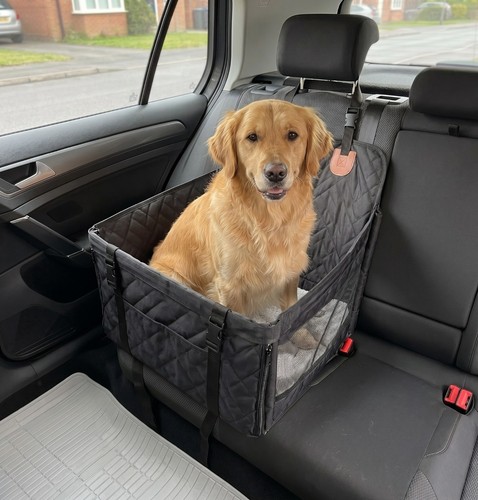 Dog car seat back - car,