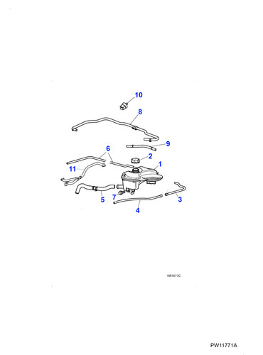 Jaguar paint clearing screw - paint,