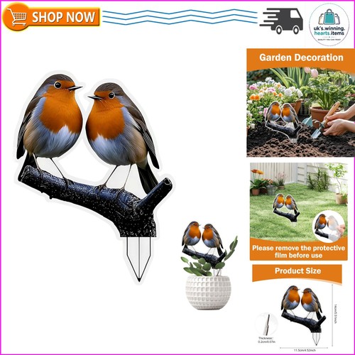 Lightweight robin acrylic - robin,