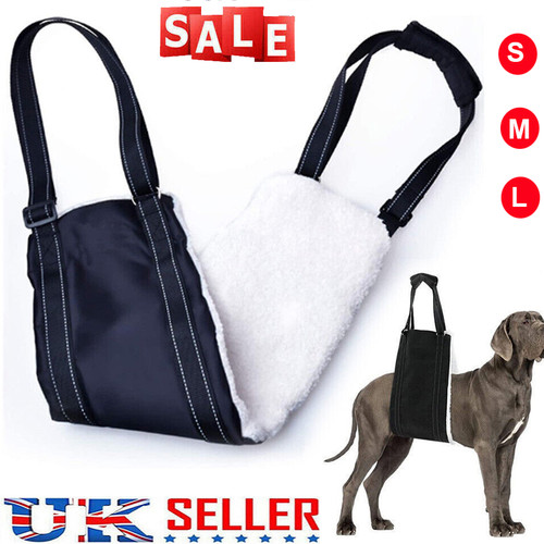 Large dog mobility aids - dog,
