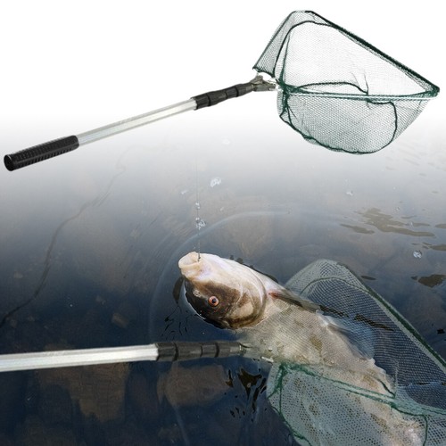 Telescopic fishing landing - fishing,
