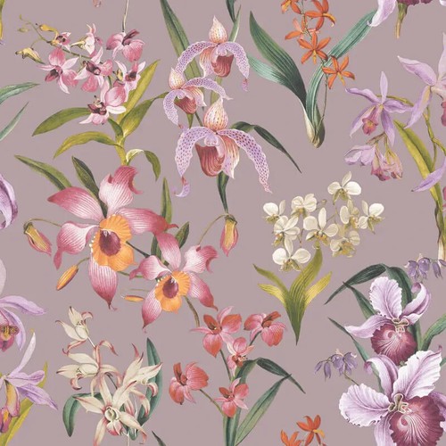 Rasch maya orchard lilac - rasch,