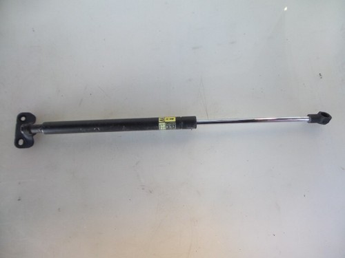 Gas strut right rear - strut,
