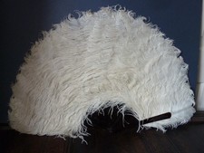 1890's large cream showy