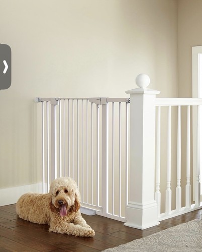 New cumbor extra tall - cumbor,