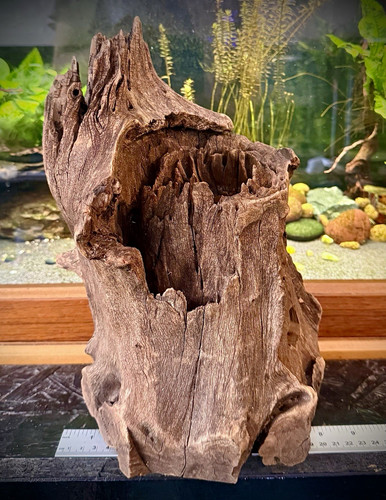 Aquarium driftwood 9kg - xl,
