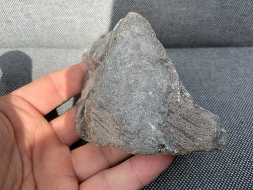 Rare fossil fish - rare,