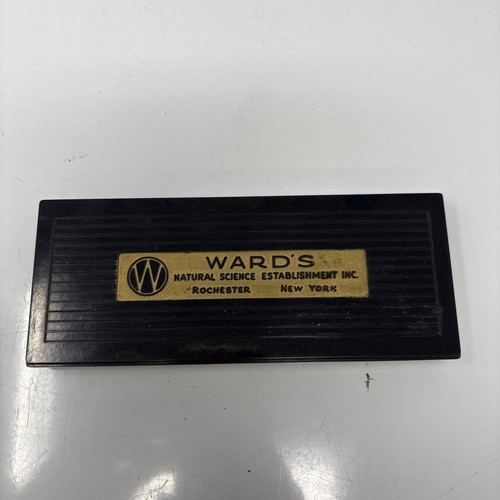 Vintage ward natural science - vintage,
