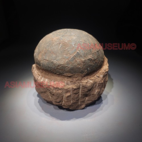 Dinosaur egg nest - egg, dendrolithus