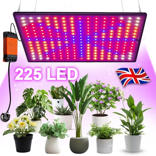 2000w led grow light for - led,
