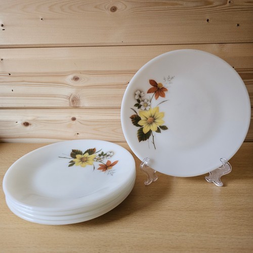Vintage jaj pyrex autumn - jaj, glory
