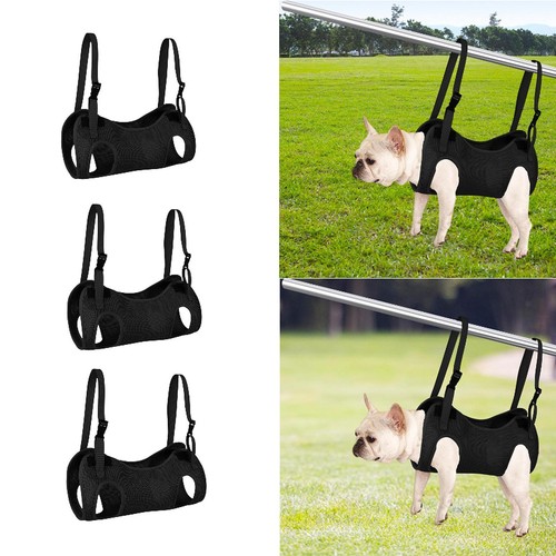 Cat grooming hammock - cat, hanger