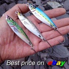 Sea fishing bass cod - fishing,