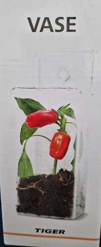 Wall hanging glass vase - hanging,