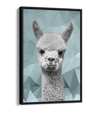 ALPACA DUCK EGG BLUE GEO
