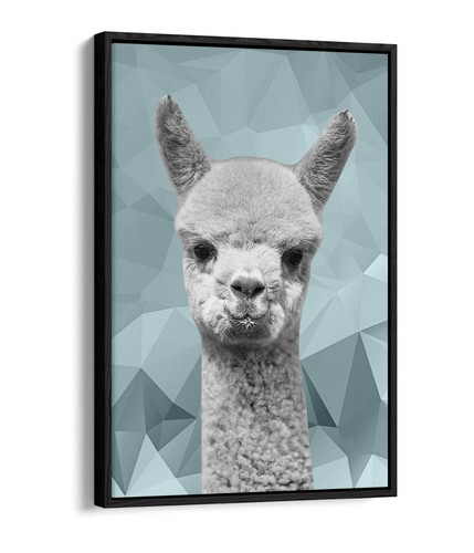 Alpaca duck egg blue - duck, geo