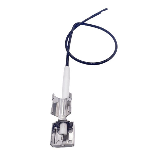 Electrode igniter for - for, master